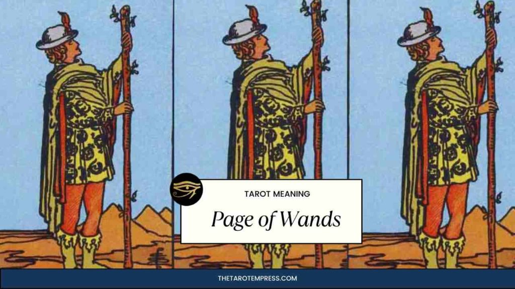 page of wands tarot card meaning